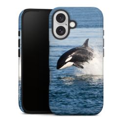 Suojakuori Plus kiiltävä