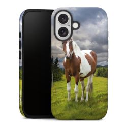 Suojakuori Plus kiiltävä