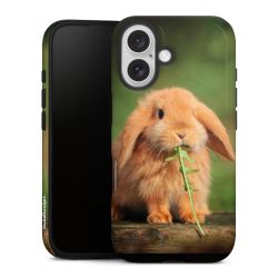 Suojakuori Plus kiiltävä