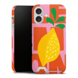 Premium Card Case matt