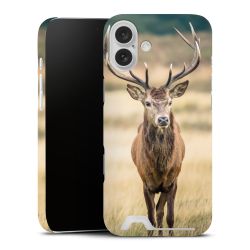 Premium Card Case matt