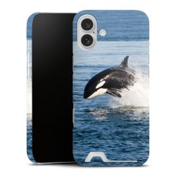 Premium Card Case matt