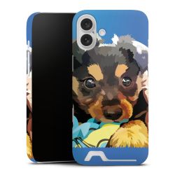 Premium Card Case matt