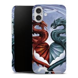 Premium Card Case matt