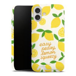 Premium Card Case matt