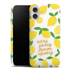 Premium Card Case matt