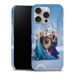 Premium Card Case matt