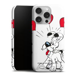 Premium Card Case matt