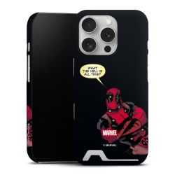 Premium Card Case matt