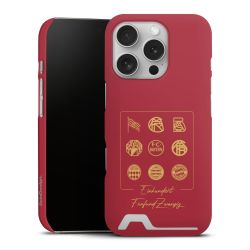 Premium Card Case matt