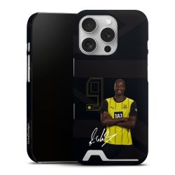 Premium Card Case matt