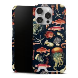 Premium Card Case matt