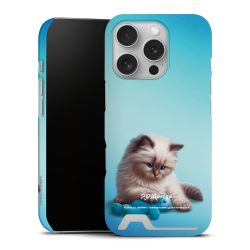 Premium Card Case matt