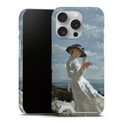 Premium Card Case matt