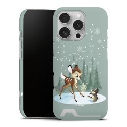 Premium Card Case matt