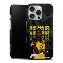 Premium Card Case matt