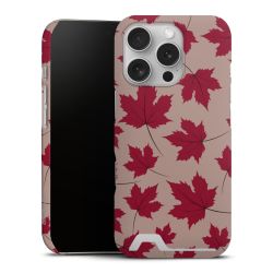 Premium Card Case matt