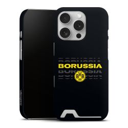 Premium Card Case matt