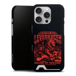 Premium Card Case matt