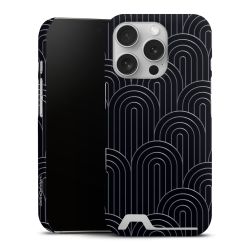 Premium Card Case matt