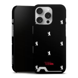 Premium Card Case matt