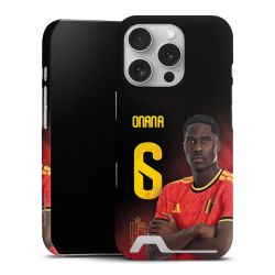 Premium Card Case matt