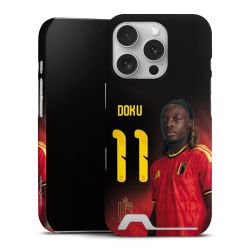 Premium Card Case matt