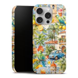 Premium Card Case matt