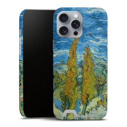 Premium Card Case matt