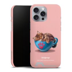 Premium Card Case matt