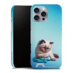 Premium Card Case matt