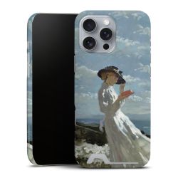 Premium Card Case matt