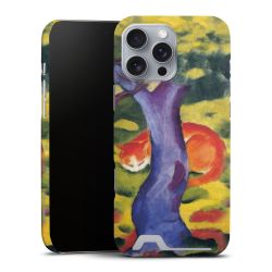 Premium Card Case matt