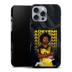 Premium Card Case matt