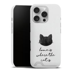 Home is Where the Cat is