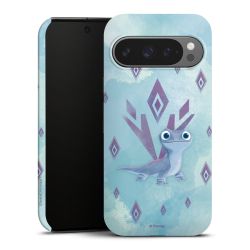 Suojakuori Plus kiiltävä