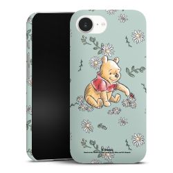 Winnie the Pooh Daisy and Bug Love