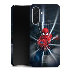 Toile Spider-Man