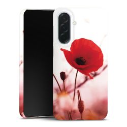 Premium Skyddskal blank