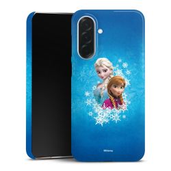 Premium Skyddskal blank