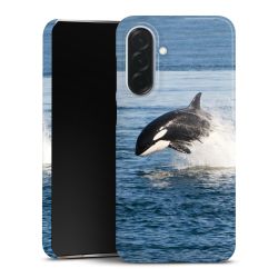 Premium Skyddskal blank