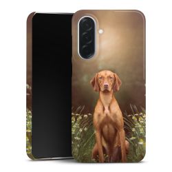 Premium Skyddskal blank