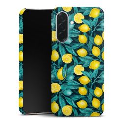 Premium Skyddskal blank