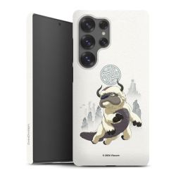 Premium Case matt