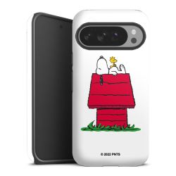 Snoopy and Woodstock Klassisch