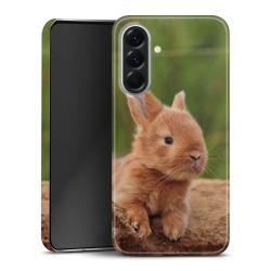 Premium Skyddskal blank