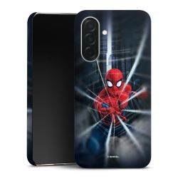 Toile Spider-Man