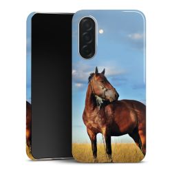 Premium Case glossy