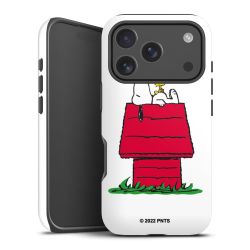 Snoopy and Woodstock Klassisch