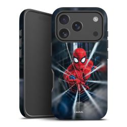 Toile Spider-Man